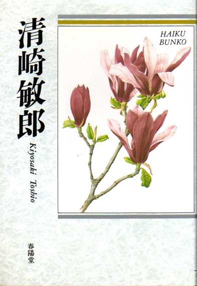 つむじ風鉄腕三四郎 (春陽文庫) 春陽文庫【き】